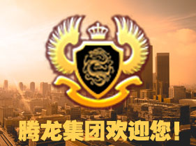 腾龙金融
